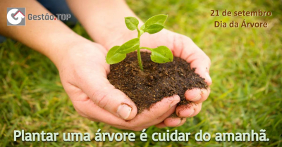 Plantar uma árvore é cuidar do amanhã