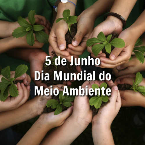 5 de Junho - Dia Mundial do Meio Ambiente.