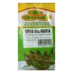 Erva de Santa Maria - 20g - Juventude