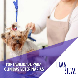 Contabilidade para Clínicas Veterinárias - Lima & Silva